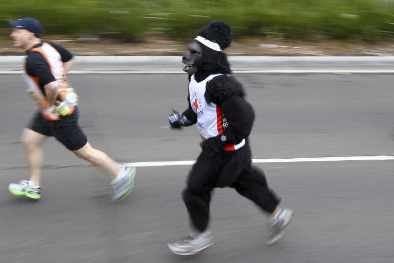 You don't need to run a marathon â or wear a gorilla suit â to get a discount on John Hancock's new life insurance program. But at least one of them may help. You don't need to run a marathon â or wear a gorilla suit â to get a discount on John Hancock's new life insurance program. But at least one of them may help.