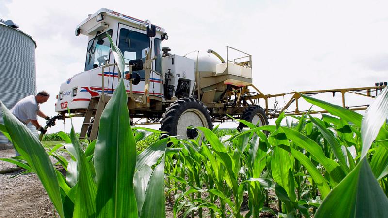 Central Illinois corn farmer Jerry McCulley refills his sprayer with the weedkiller glyphosate on a farm near Auburn, Ill. A new assessment of the chemical finds that the (uncertain) risks mainly affect the people who work with it or who come in direct co Central Illinois corn farmer Jerry McCulley refills his sprayer with the weedkiller glyphosate on a farm near Auburn, Ill. A new assessment of the chemical finds that the (uncertain) risks mainly affect the people who work with it or who come in direct co