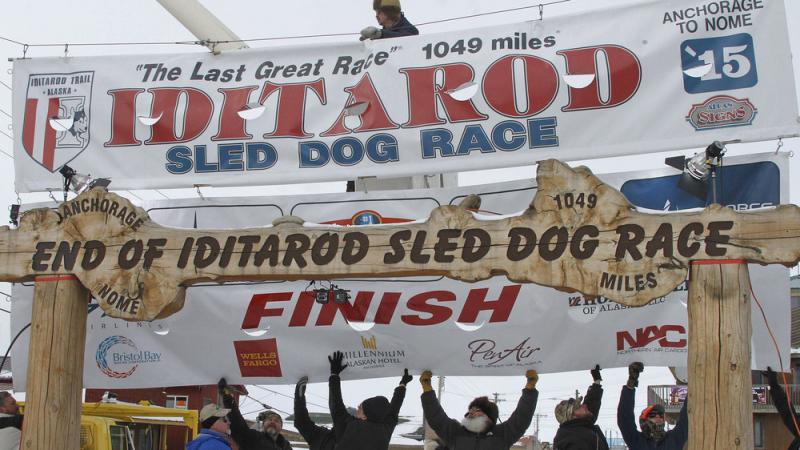 Volunteers help raise the Iditarod finishers banner at the burled arch finish line on Monday. Dallas Seavey won the race Wednesday morning. Volunteers help raise the Iditarod finishers banner at the burled arch finish line on Monday. Dallas Seavey won the race Wednesday morning.
