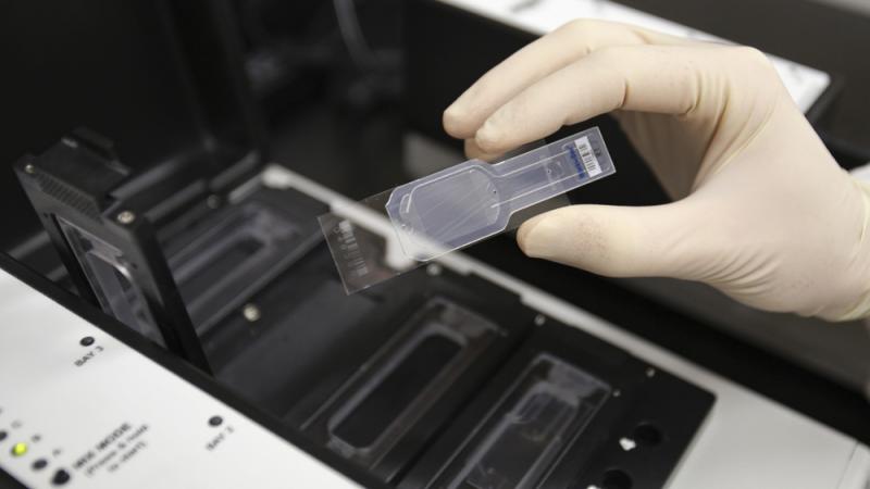 A biologist holds a slide prepared for testing in a micro array for biological hazards at the Lawrence Livermore National Laboratory in Livermore, Calif. A biologist holds a slide prepared for testing in a micro array for biological hazards at the Lawrence Livermore National Laboratory in Livermore, Calif.