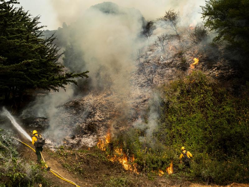 The Dolan Fire, pictured Aug. 22, has burned more than 37,000 acres along the central California coast. On Tuesday, more than a dozen firefighters battling the blaze deployed portable fire shelters, and three were hospitalized with injuries. The Dolan Fire, pictured Aug. 22, has burned more than 37,000 acres along the central California coast. On Tuesday, more than a dozen firefighters battling the blaze deployed portable fire shelters, and three were hospitalized with injuries.