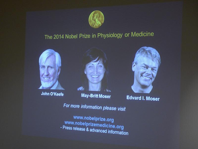 A screen presents the winners of the Nobel Prize in Medicine, U.S.-British scientist John O'Keefe and Norwegian husband and wife Edvard Moser and May-Britt Moser, for their discoveries of cells that constitute a positioning system in the brain. A screen presents the winners of the Nobel Prize in Medicine, U.S.-British scientist John O'Keefe and Norwegian husband and wife Edvard Moser and May-Britt Moser, for their discoveries of cells that constitute a positioning system in the brain.