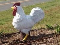 This rooster statue was stolen over the weekend in Alexander County, N.C. This rooster statue was stolen over the weekend in Alexander County, N.C.