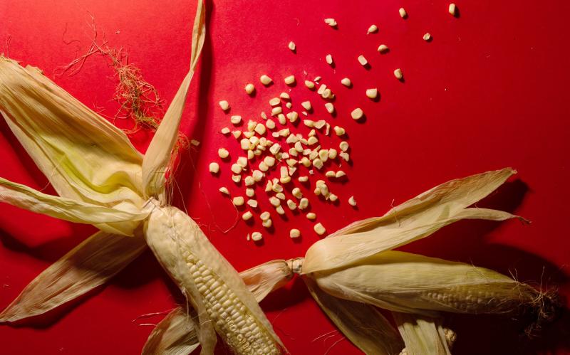Corn Corn