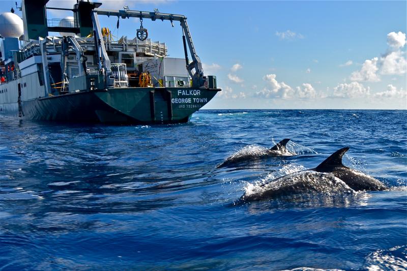 The research vessel Falkor in August 2013. The research vessel Falkor in August 2013.