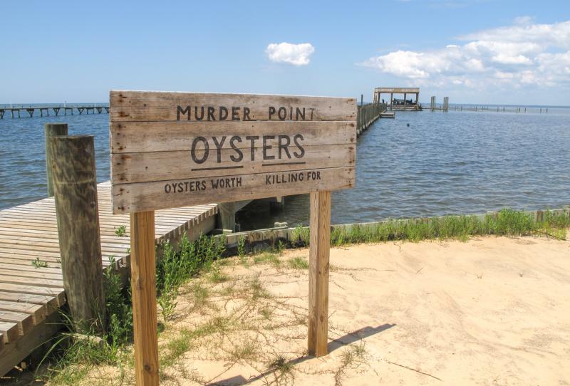 The Zirlott family's oyster farm is at the end of a long pier in Sandy Bay. Legend has it that the name "Murder Point" comes from a deadly dispute over an oyster lease at this site back in 1929. The Zirlott family's oyster farm is at the end of a long pier in Sandy Bay. Legend has it that the name "Murder Point" comes from a deadly dispute over an oyster lease at this site back in 1929.