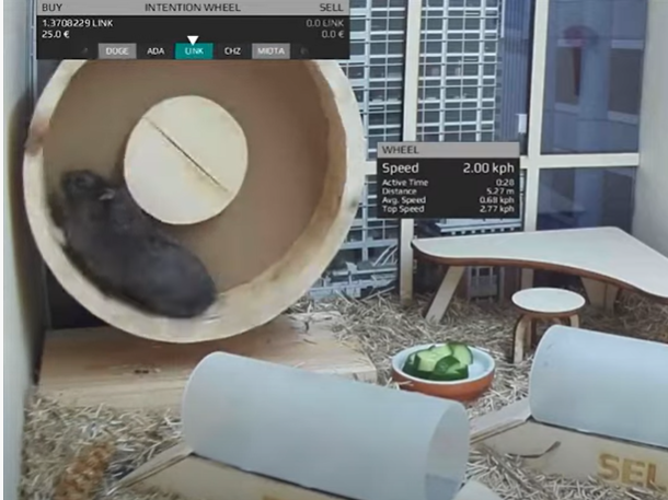 Spinning on the hamster wheel allows Mr. Goxx to select a cryptocurrency to trade. Choosing one of two tunnels to run through allows him to buy or sell. Spinning on the hamster wheel allows Mr. Goxx to select a cryptocurrency to trade. Choosing one of two tunnels to run through allows him to buy or sell.