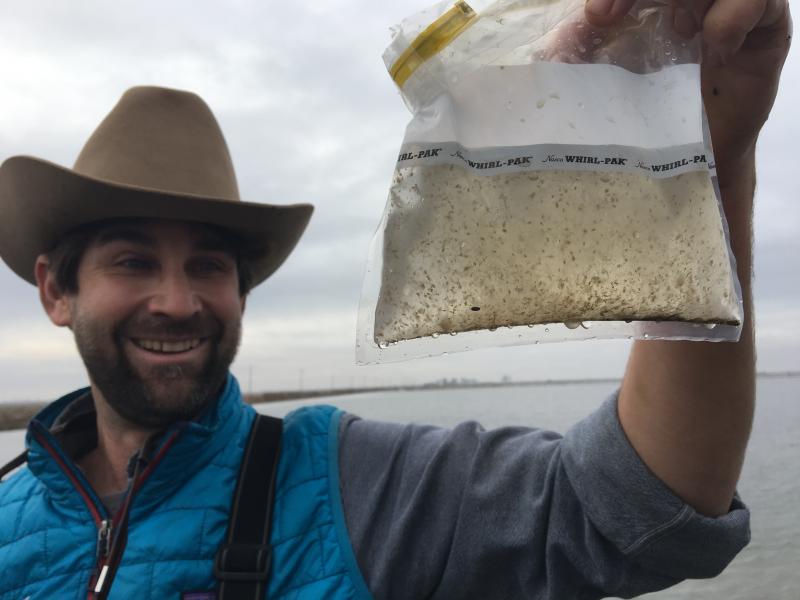Jacob Katz, with California Trout, says growing bugs in rice fields could be part of the solution for boosting salmon populations in rivers statewide. Jacob Katz, with California Trout, says growing bugs in rice fields could be part of the solution for boosting salmon populations in rivers statewide.