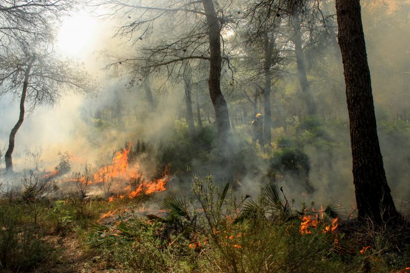 A firefighter participates in a controlled burn in a forest outside El Perelló in Catalonia, Spain, on Sept. 27. NPR followed a special unit into the woods in Spain to see how they burn for prevention. A firefighter participates in a controlled burn in a forest outside El Perelló in Catalonia, Spain, on Sept. 27. NPR followed a special unit into the woods in Spain to see how they burn for prevention.