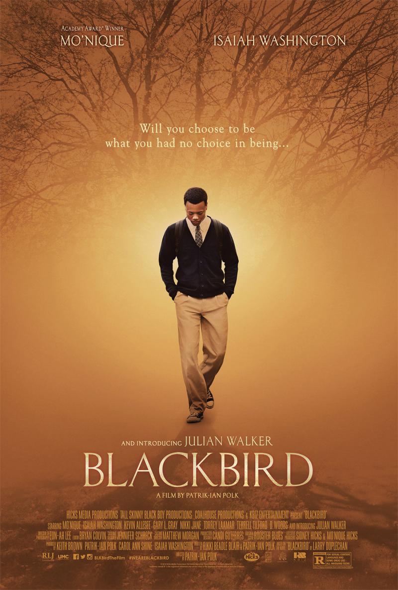 Blackbird is about a gay interracial romance set in the deep South. Blackbird is about a gay interracial romance set in the deep South.