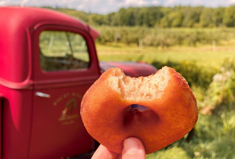 Alex Schwartz is hunting for the best cider doughnuts New England has to offer. Alex Schwartz is hunting for the best cider doughnuts New England has to offer.