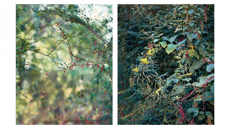 Two images from Janelle Lynch's photo book "Another Way of Looking at Love" Two images from Janelle Lynch's photo book "Another Way of Looking at Love"