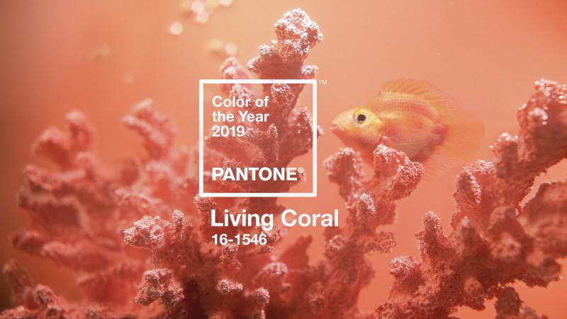 Living Coral is the Pantone Color Institute's color of the year for 2019. The vibrant hue represents "the fusion of modern life," the institute explains. Living Coral is the Pantone Color Institute's color of the year for 2019. The vibrant hue represents "the fusion of modern life," the institute explains.