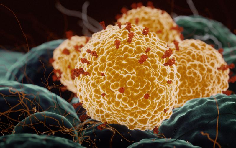Researchers at the University of Texas Medical Branch are helping to test the Pfizer-BioNTech COVID-19 vaccine against coronavirus variants. Researchers at the University of Texas Medical Branch are helping to test the Pfizer-BioNTech COVID-19 vaccine against coronavirus variants.
