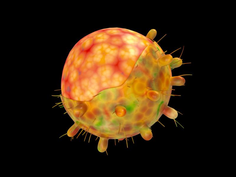 A computer-generated image of the omicron variant of the coronavirus. A computer-generated image of the omicron variant of the coronavirus.