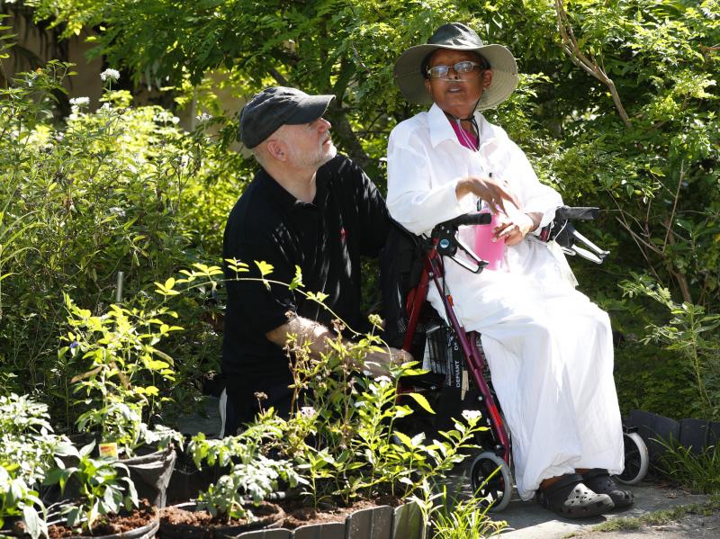 Homeowners Tom Carroll and Hermine Carroll held a ceremonial planting of vegetables in their garden on Monday. The Village of Miami Shores had prohibited front-yard gardens, but the Florida legislature passed a law that assures such gardens' legality. Homeowners Tom Carroll and Hermine Carroll held a ceremonial planting of vegetables in their garden on Monday. The Village of Miami Shores had prohibited front-yard gardens, but the Florida legislature passed a law that assures such gardens' legality.