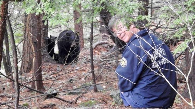 Hanover, N.H., Deputy Fire Chief Michael Hinsley in the woods with Mink the bear. Hanover, N.H., Deputy Fire Chief Michael Hinsley in the woods with Mink the bear.