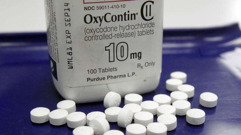 The state of Alabama is suing Purdue Pharma LP, the maker of OxyContin, for allegedly fueling the opioid crisis by deceiving doctors about prescription painkillers. The state of Alabama is suing Purdue Pharma LP, the maker of OxyContin, for allegedly fueling the opioid crisis by deceiving doctors about prescription painkillers.