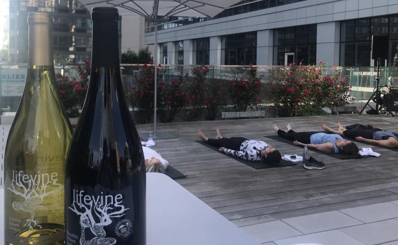 LifeVine boasts that it has little sugar and higher antioxidant levels than most wines. There is a wave of wines and spirits that aim to woo wellness enthusiasts. But some health claims made by alcohol brands have scientists on edge. LifeVine boasts that it has little sugar and higher antioxidant levels than most wines. There is a wave of wines and spirits that aim to woo wellness enthusiasts. But some health claims made by alcohol brands have scientists on edge.