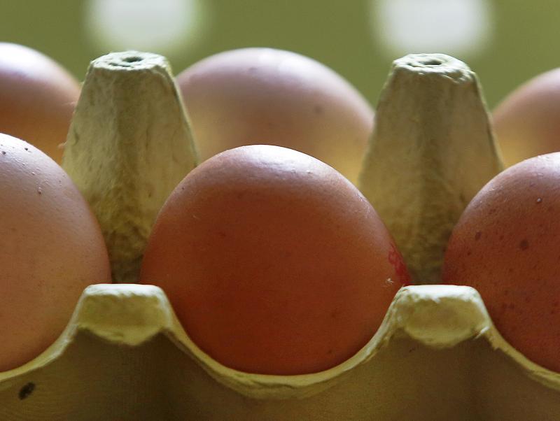The Aldi supermarket chain is pulling all eggs in its German stores amid a scare over possible pesticide contamination. The Aldi supermarket chain is pulling all eggs in its German stores amid a scare over possible pesticide contamination.