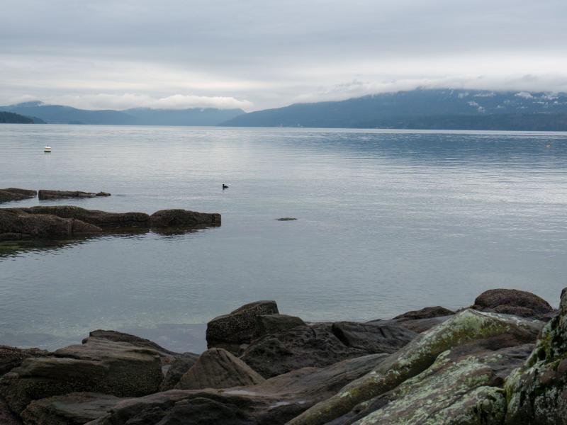 View of the waterfront from Vancouver Island, British Columbia, Canada on January 20, 2020. The number of American pleasure craft arriving from Washington state has alarmed Canadians living just across the border. View of the waterfront from Vancouver Island, British Columbia, Canada on January 20, 2020. The number of American pleasure craft arriving from Washington state has alarmed Canadians living just across the border.