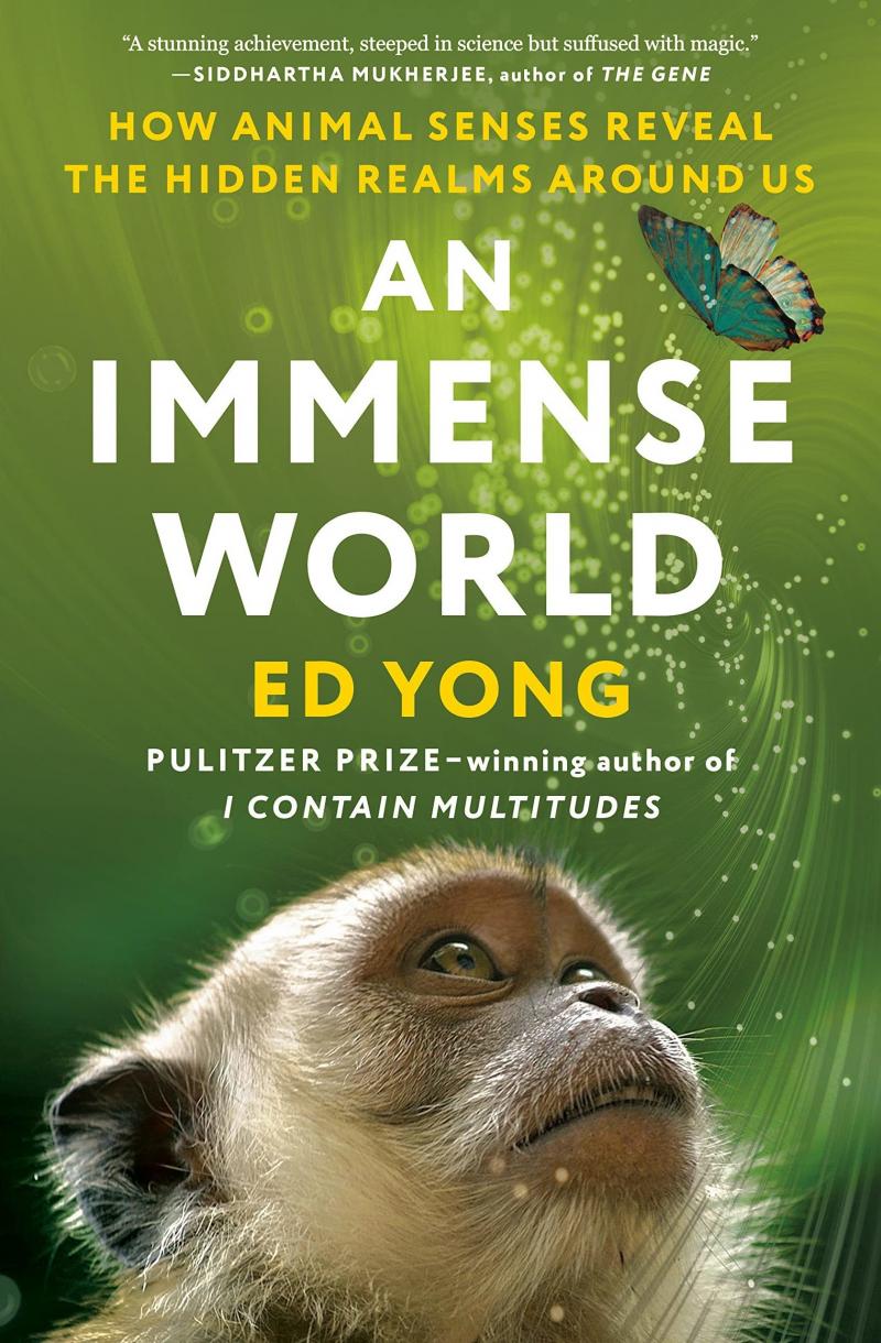 An Immense World An Immense World