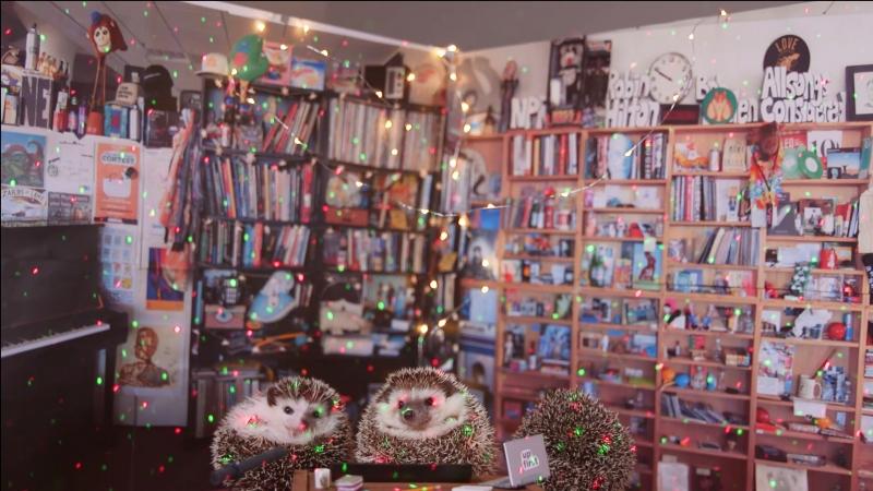 The Tiny Desk Contest is back for 2018! The Tiny Desk Contest is back for 2018!