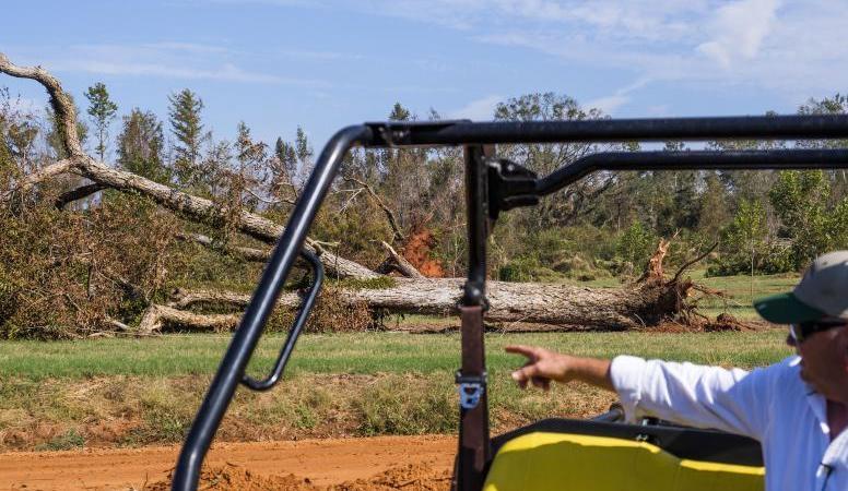 Pine Knoll Plantation farm manager Mitch Bulger near one of the thousands of pecan trees blown down by Hurricane Michael. Pine Knoll Plantation farm manager Mitch Bulger near one of the thousands of pecan trees blown down by Hurricane Michael.
