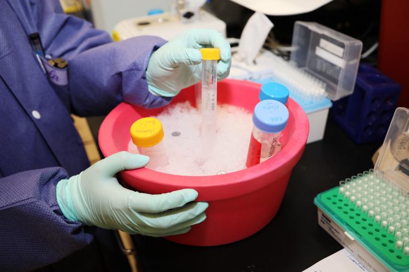 A research assistant with the Emerging Infectious Disease Branch (EIDB), at the Walter Reed Army Institute of Research (WRAIR), studies coronavirus protein samples, June 1, 2020. The EIDB is part of WRAIR's effort to produce a COVID-19 vaccine candidate. A research assistant with the Emerging Infectious Disease Branch (EIDB), at the Walter Reed Army Institute of Research (WRAIR), studies coronavirus protein samples, June 1, 2020. The EIDB is part of WRAIR's effort to produce a COVID-19 vaccine candidate.