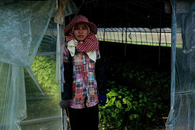 A Cambodian migrant farm worker stands outside the greenhouse where she works growing vegetables in Miryang, South Korea. A Cambodian migrant farm worker stands outside the greenhouse where she works growing vegetables in Miryang, South Korea.