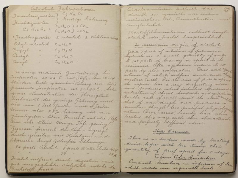 An excerpt from Victor Alfred Lyon's notebook. An excerpt from Victor Alfred Lyon's notebook.
