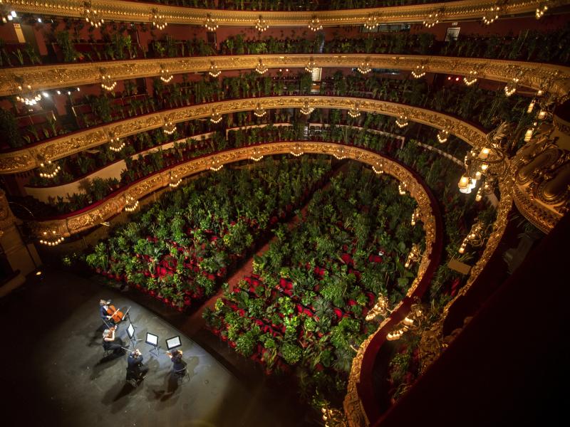 The Gran Teatre del Liceu in Barcelona filled its nearly 2,300 seats with plants for a June 22 concert, which was also broadcast online. The Gran Teatre del Liceu in Barcelona filled its nearly 2,300 seats with plants for a June 22 concert, which was also broadcast online.