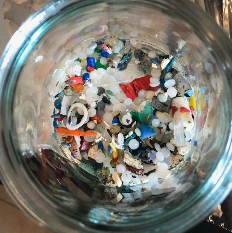Microplastics found along Lake Ontario by Rochman's team Microplastics found along Lake Ontario by Rochman's team