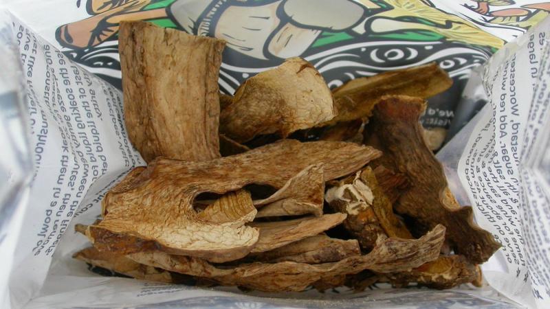 This grocery store packet of porcini mushrooms contained a surprise: three species of fungi never before named or described. This grocery store packet of porcini mushrooms contained a surprise: three species of fungi never before named or described.