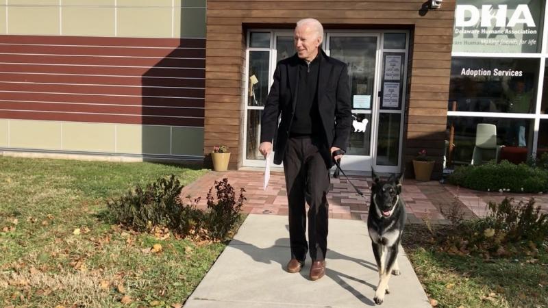 President-elect Joe Biden at the Delaware Human Society on Nov. 17, 2018, the day he officially adopted his dog, Major. President-elect Joe Biden at the Delaware Human Society on Nov. 17, 2018, the day he officially adopted his dog, Major.
