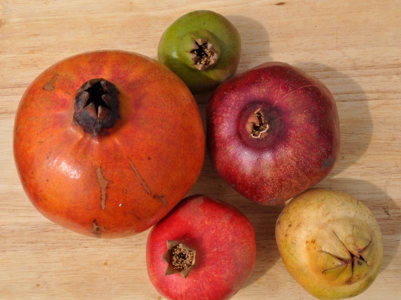 While many Americans only know one kind of pomegranate — the ruby red Wonderful — there are actually dozens of varieties with different flavor and heartiness profiles. While many Americans only know one kind of pomegranate — the ruby red Wonderful — there are actually dozens of varieties with different flavor and heartiness profiles.