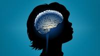 Researchers say intervention in early childhood may help the developing brain compensate by rewiring to work around the trouble spots. Researchers say intervention in early childhood may help the developing brain compensate by rewiring to work around the trouble spots.