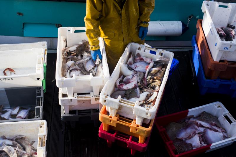 Fishermen unload and sort the day's catch from the fishing boat Laurent-Geoffrey at Quai Gambetta in Boulogne-sur-Mer, France. Fishermen unload and sort the day's catch from the fishing boat Laurent-Geoffrey at Quai Gambetta in Boulogne-sur-Mer, France.