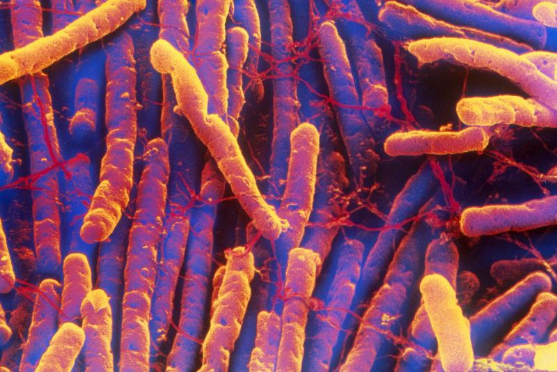 C. diff infections, which rose for decades, are now falling, according to the CDC. C. diff infections, which rose for decades, are now falling, according to the CDC.