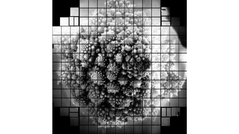 Romanesco broccoli, as seen by a 3.2 billion pixel camera. Scientists chose to take a picture of the broccoli because of its fractal shape. Romanesco broccoli, as seen by a 3.2 billion pixel camera. Scientists chose to take a picture of the broccoli because of its fractal shape.