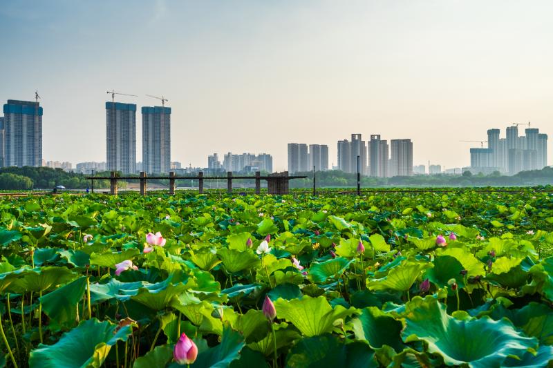 The city of Wuhan, epicenter of the current coronavirus outbreak. The city of Wuhan, epicenter of the current coronavirus outbreak.