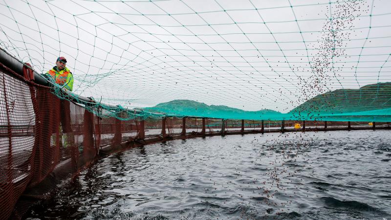A Russian fish farming operation in Ura Bay in the Barents Sea. A Russian fish farming operation in Ura Bay in the Barents Sea.
