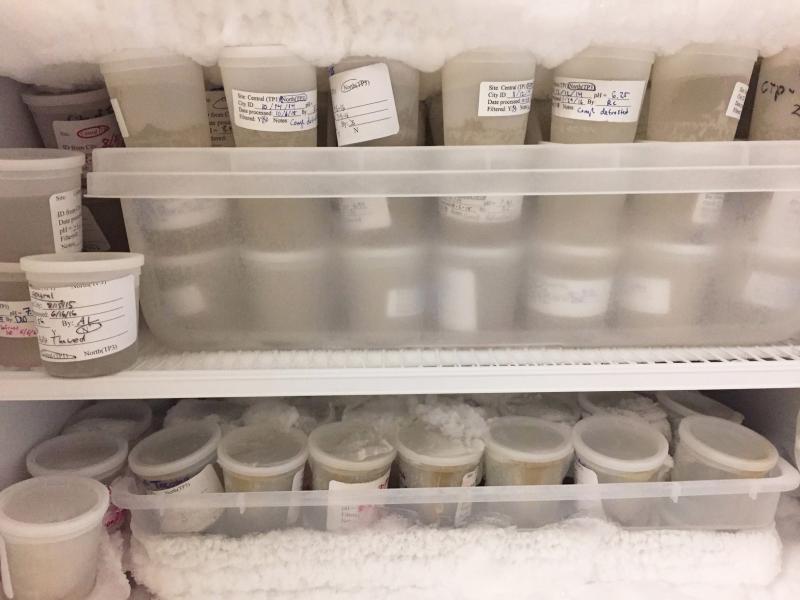 University of Puget Sound chemist Dan Burgard keeps a freezer full of archived samples from two wastewater treatment plants in western Washington in case he needs to rerun the samples or analyze a specific drug he didn't test for the first time. University of Puget Sound chemist Dan Burgard keeps a freezer full of archived samples from two wastewater treatment plants in western Washington in case he needs to rerun the samples or analyze a specific drug he didn't test for the first time.