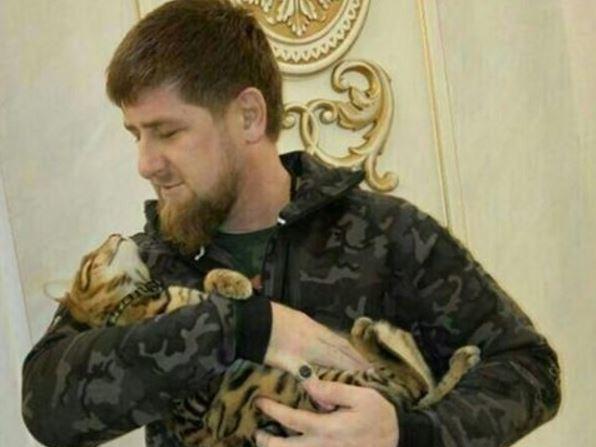 Chechnya's leader Ramzan Kadyrov posted on Instagram that he has "completely lost" his cat. Chechnya's leader Ramzan Kadyrov posted on Instagram that he has "completely lost" his cat.