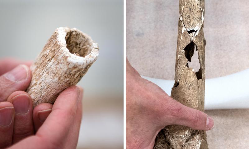 The limbs had been evenly cut (left), and researchers were able to identify bullet holes (right). The limbs had been evenly cut (left), and researchers were able to identify bullet holes (right).