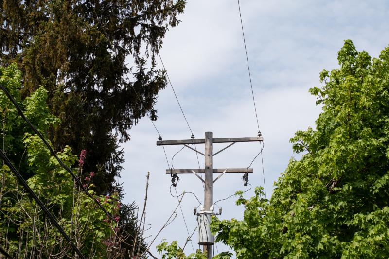 A patchwork of national and state regulations require utilities to trim around their power lines. More than a dozen of the country's largest utilities told NPR that falling trees and branches represent a leading cause of outages. A patchwork of national and state regulations require utilities to trim around their power lines. More than a dozen of the country's largest utilities told NPR that falling trees and branches represent a leading cause of outages.
