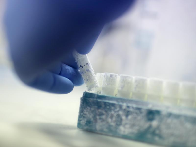 The now-divorced couple is trying to find out what happened to Drew Wasilewski's once-frozen sperm. "They took it and it was defrosted. If they didn't use it for this procedure they must have used it in some other procedure," attorney David Mazie told NPR The now-divorced couple is trying to find out what happened to Drew Wasilewski's once-frozen sperm. "They took it and it was defrosted. If they didn't use it for this procedure they must have used it in some other procedure," attorney David Mazie told NPR