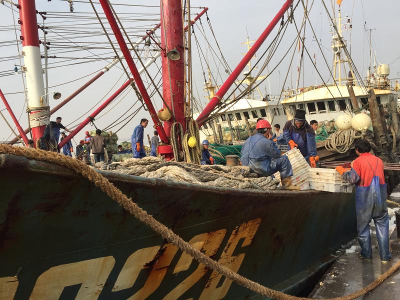 Large fishing boats use voluminous trawl nets, longlines miles in length, and other industrial gear to catch fish on the high seas, which can destroy habitats and kill other sea life. Large fishing boats use voluminous trawl nets, longlines miles in length, and other industrial gear to catch fish on the high seas, which can destroy habitats and kill other sea life.