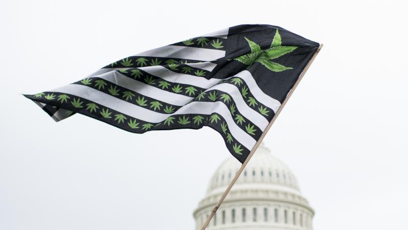 Congress marijuana Congress marijuana