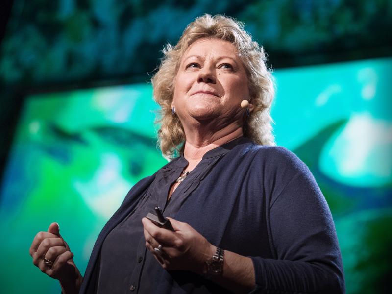 Denise Herzing, dolphin researcher, at TED2013. Denise Herzing, dolphin researcher, at TED2013.